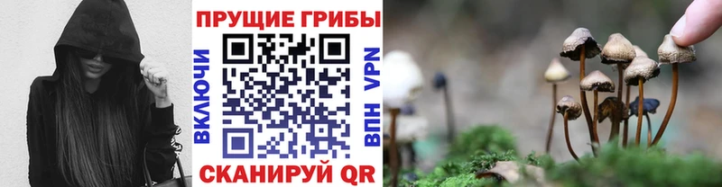Псилоцибиновые грибы ЛСД  купить наркоту  Рыльск 